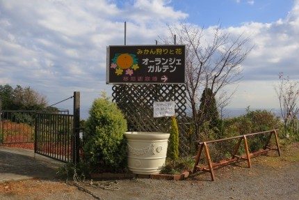 Oranger Garden