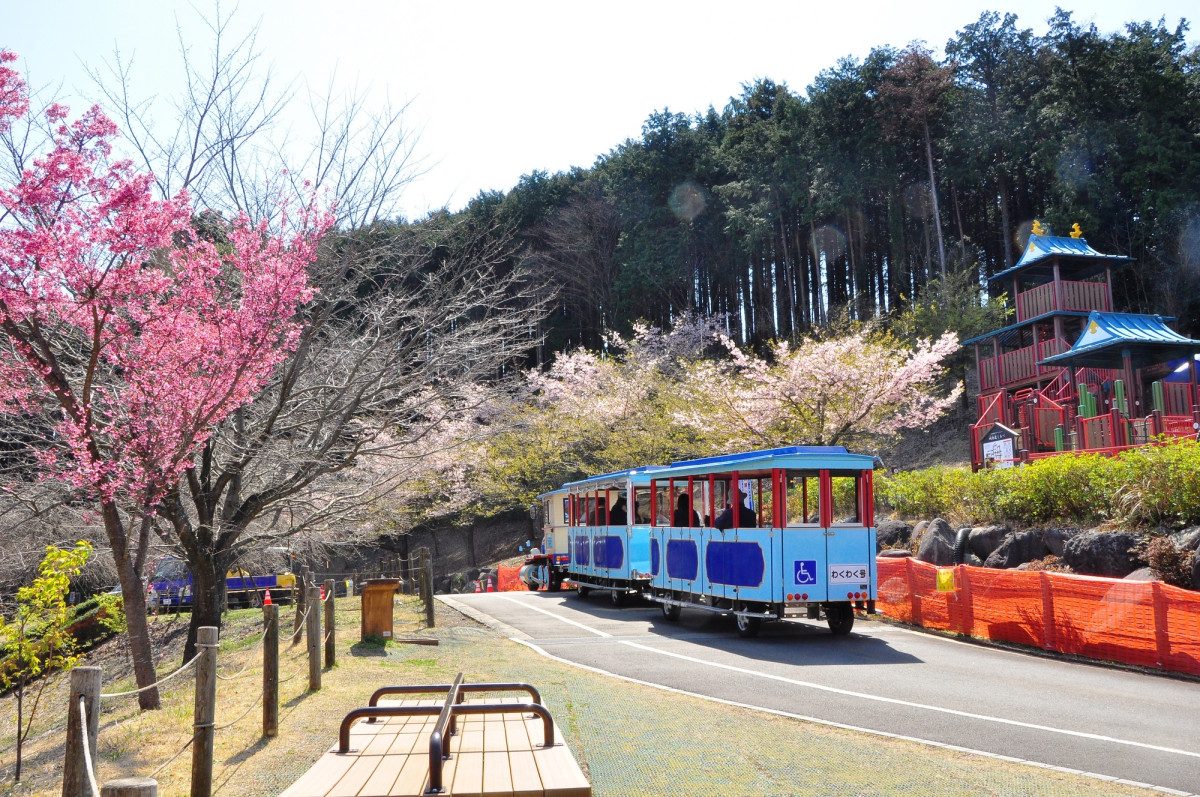 Odawara Castle Adventure (in Wanpaku Land)