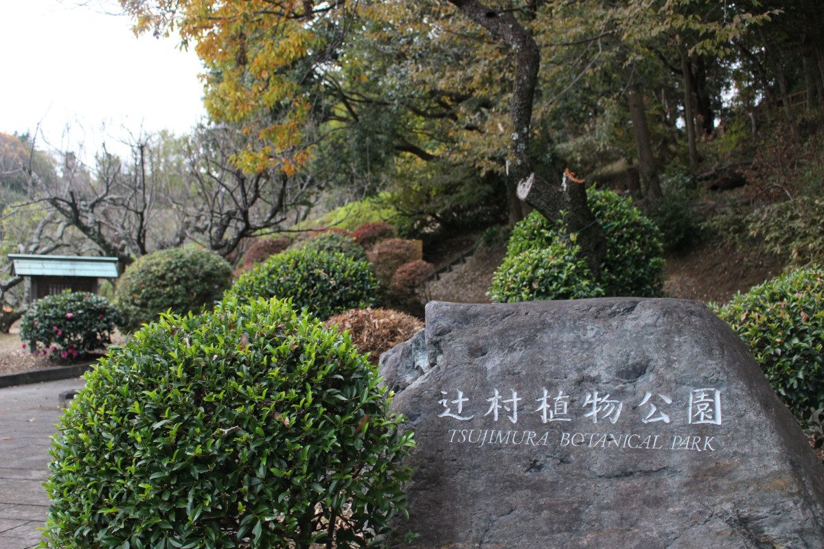 Tsujimura Botanical Park