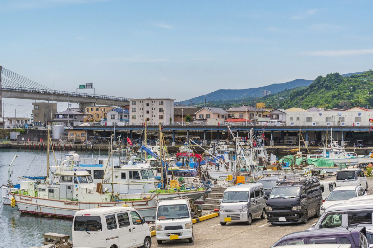 Odawara Fishing Port