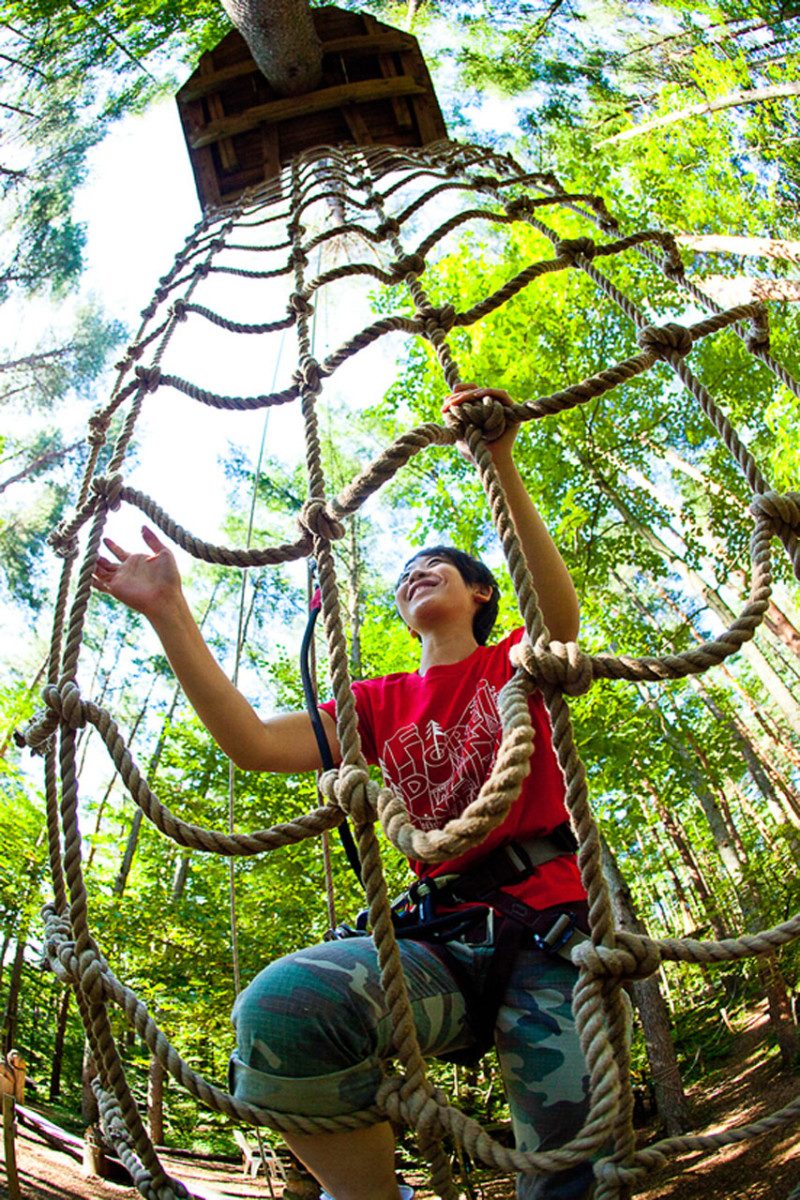 Forest Adventure Odawara
