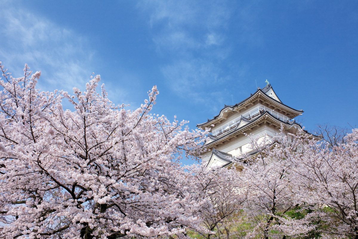 Odawara Castle Ruins Park