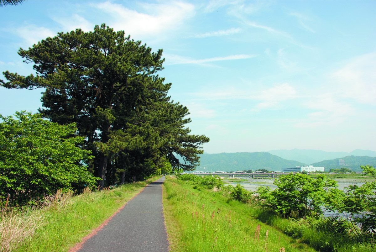 Pine Avenue Associated with Ninomiya Sontoku