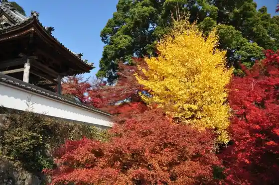 Enkoji Temple