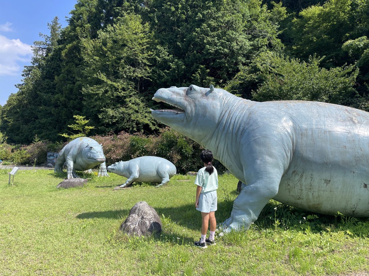 Hannya no Oka Park