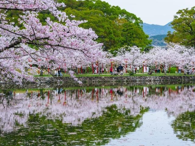 Ogi Park