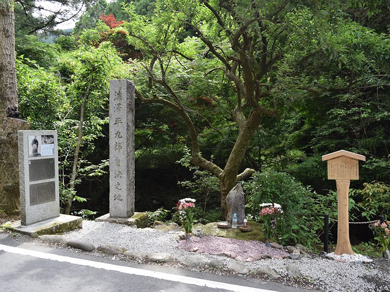 Shibusawa Heikuro Suicide Site