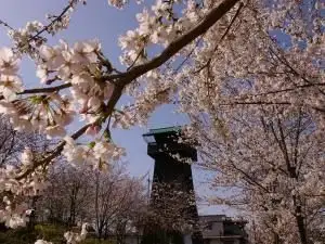 Koguchi Castle Park