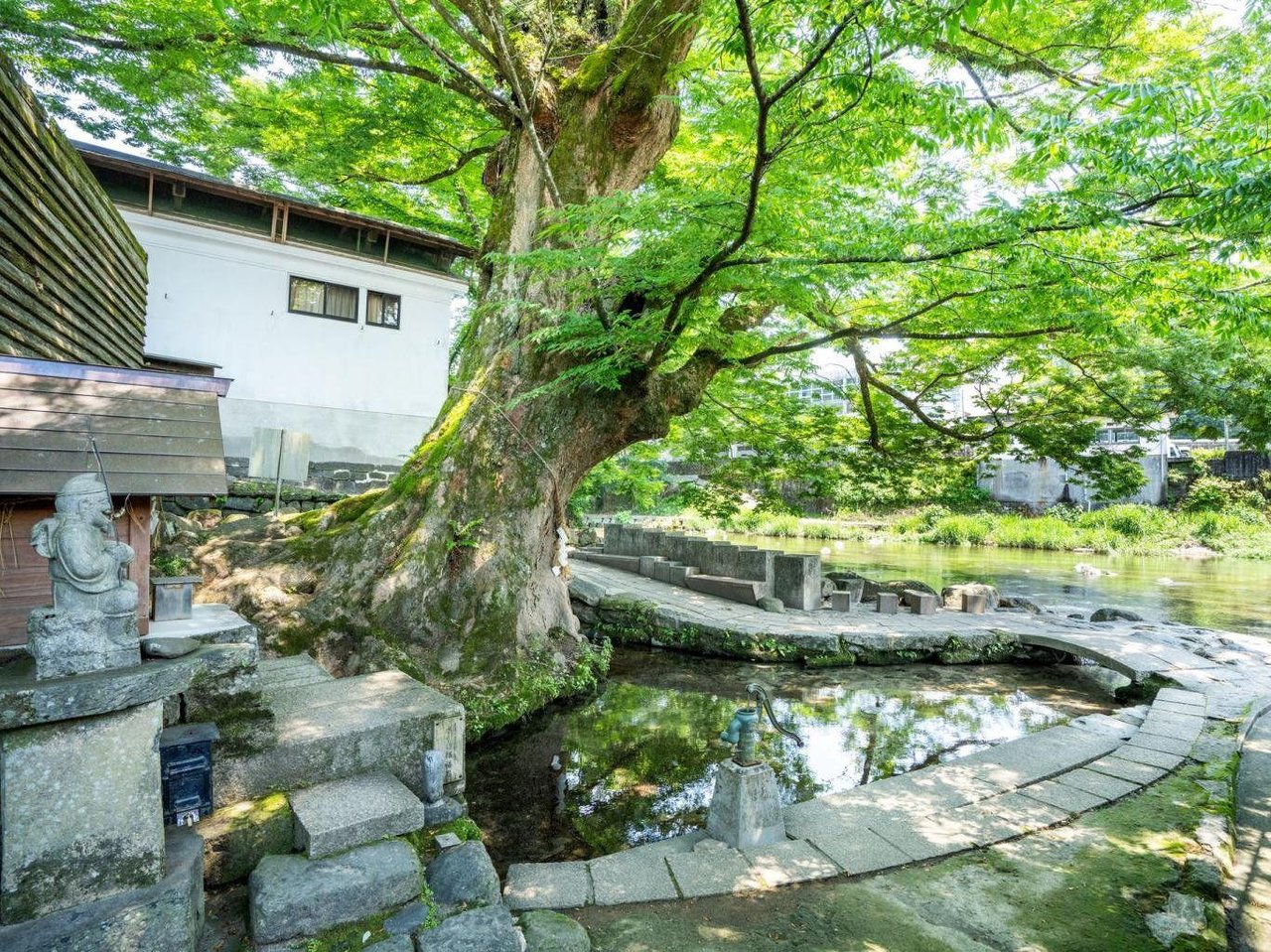 Keyaki Spring