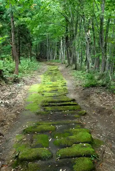 Kurosawatogeshiki Sekido