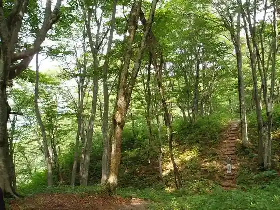 Kenko no Moriyokone
