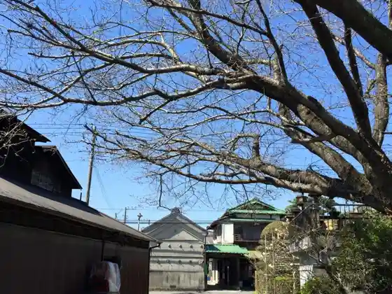 Inoue Sake Brewery