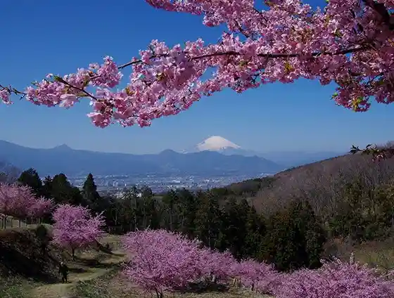 Oi Yume no Sato