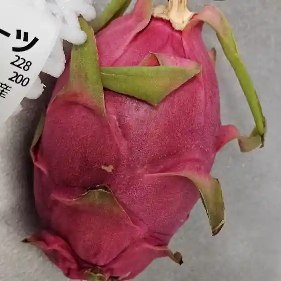 あぐりの里 おいらせ おいらせ広域物産館