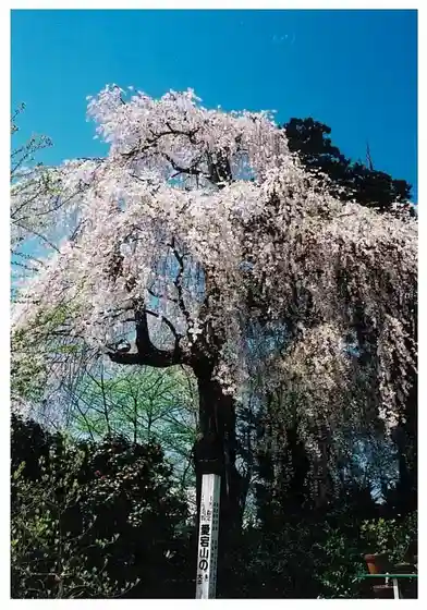 Atago Jinja Oishida Machi