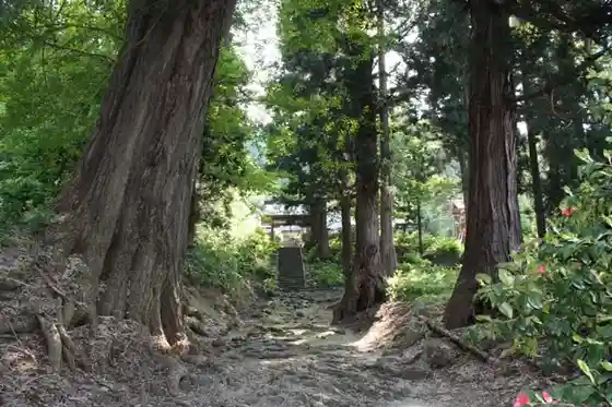 Mukaigawatera