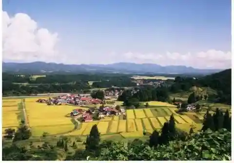 Oishida Viewpoint 1