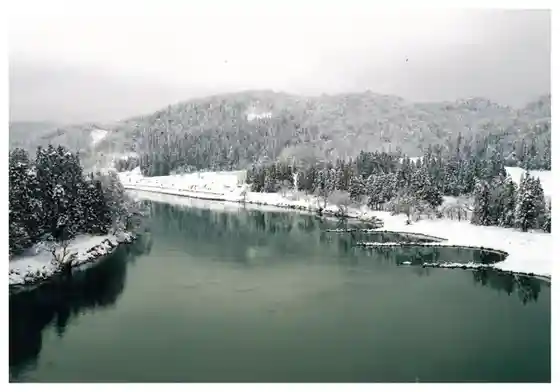 Oishida Viewpoint 2