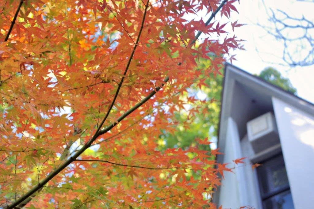 Sawada Miki Memorial Hall (Hidden Christian Museum)