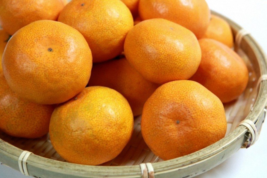 Hijikata Citrus Garden