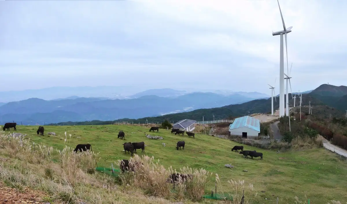 View from Okawara Highlands, Sanagochi Village
