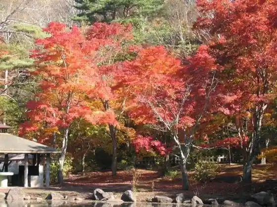 Autumn Foliage at Enrei Goryotachi Park