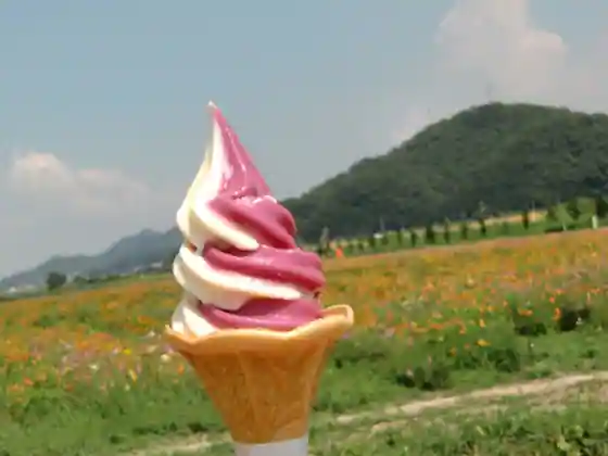 Himawari Cafe