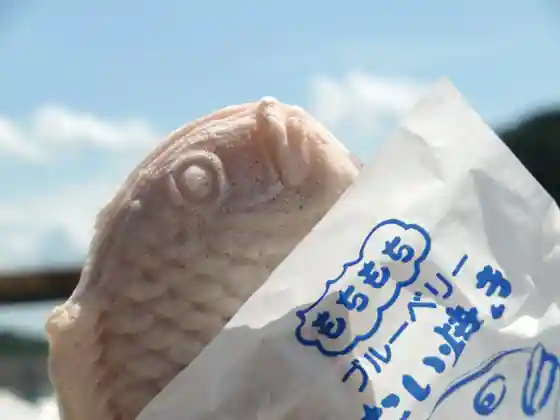 Michi no Eki Kayo