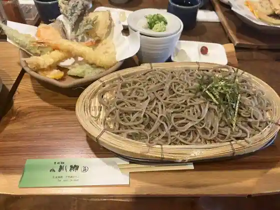 Ogawa Yanagi