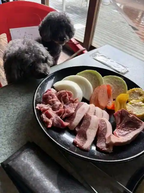 ウッドパオ