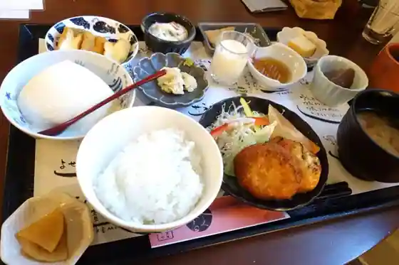 Tsuyama Joto Tofu Chaya Hayase Tofu