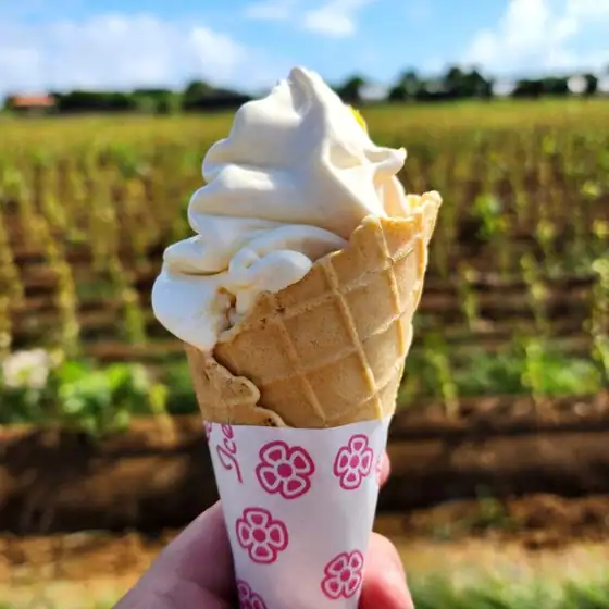 Utopia Farm Miyakojima