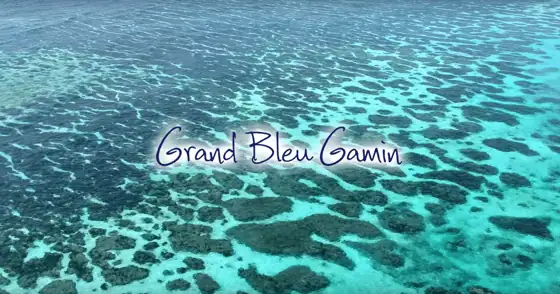 Grand Bleu Gamin