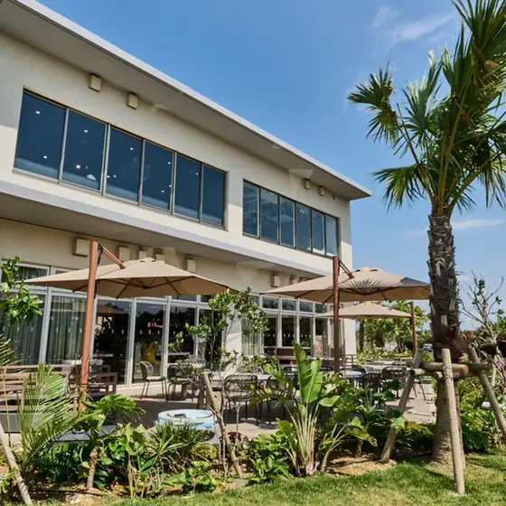 Island Café & Spanish Restaurant BLANQUITA