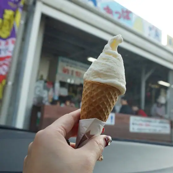 Oppa Dairy Michinoeki Kyoda Yanbaru Local Products Center Store