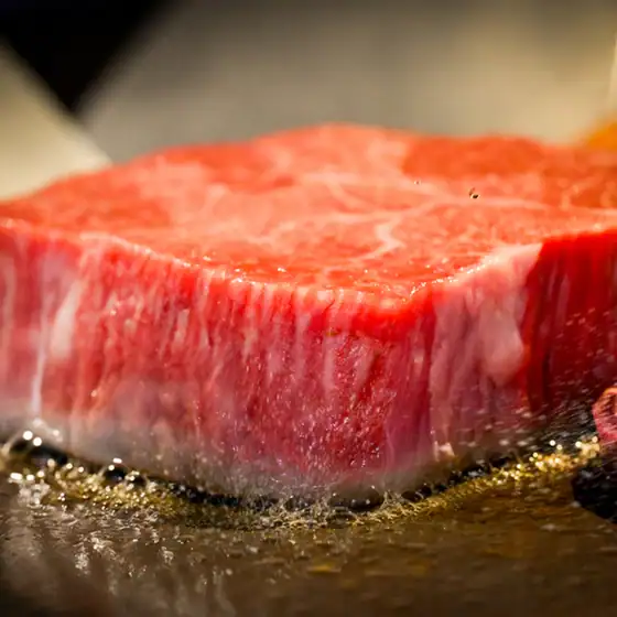 Teppanyaki Sawafuji