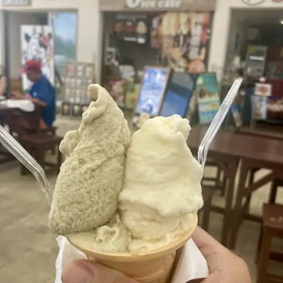 Oppa Dairy
