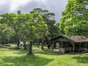 Otowadake Forest Park