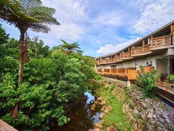 Iriomotejima Jungle Hotel Painumaya