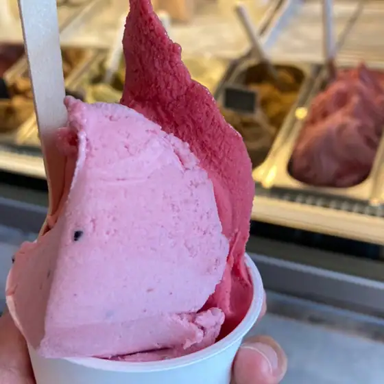 La Pausa Dolce