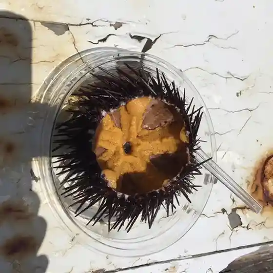 開運丸