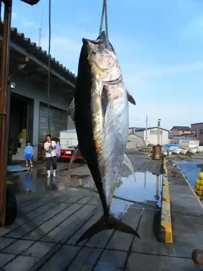 Oma Tuna Pole-Fishing Experience