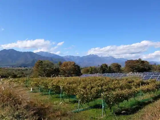 Usausa Petit Farm