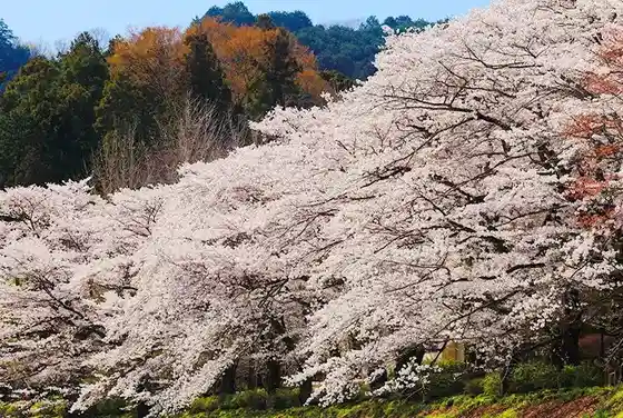 Kama no Fuchi Park