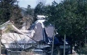 Zendo Tera