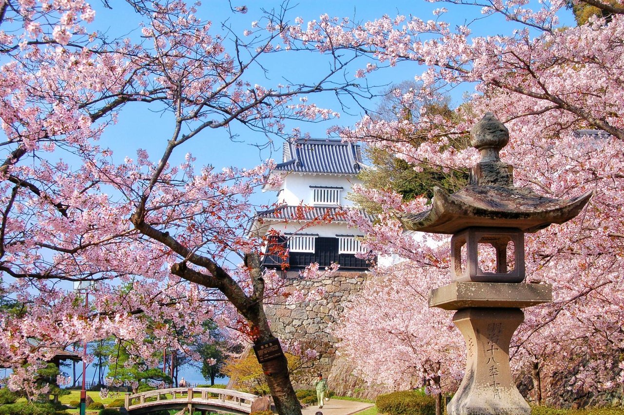 Omura Park (Kushima Castle Ruins)