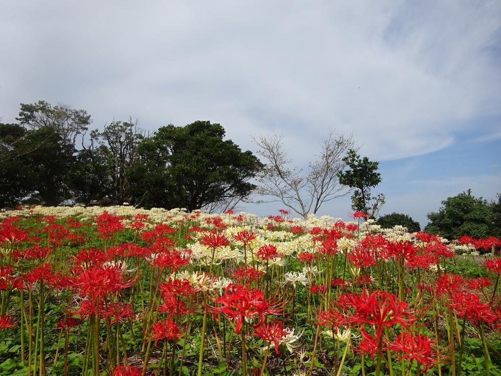 Hachimakiyama Observatory