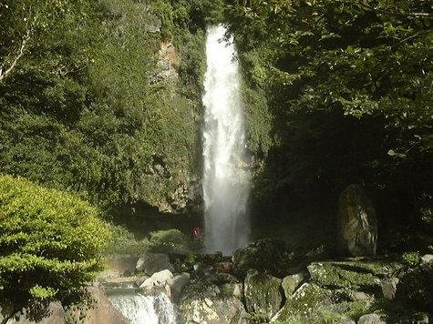 Urami Falls Nature Flower Garden