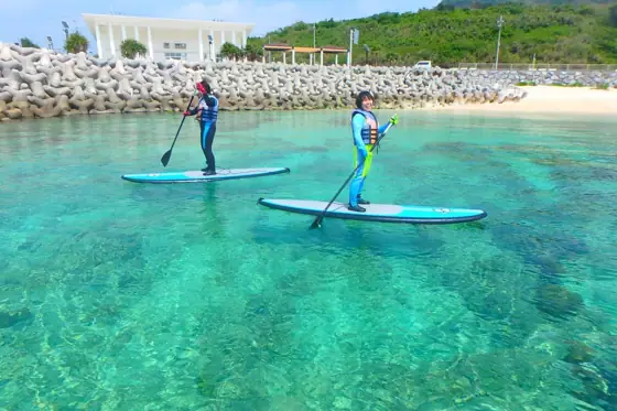 SUP and Snorkeling among Tropical Fish and Coral Reefs
