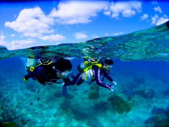 Dive Center Isles